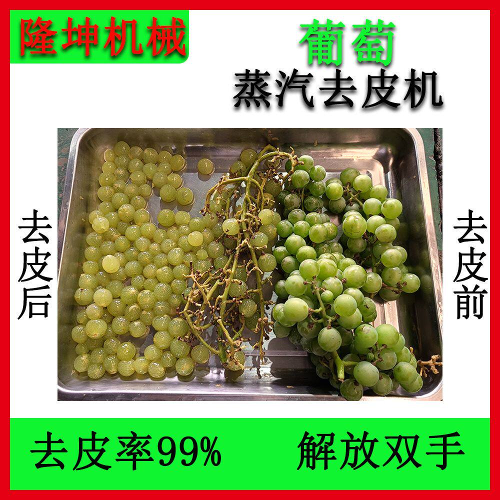 可定制多功能葡萄蒸汽去皮机 全自动芋头蒸汽剥皮机 胡萝卜脱皮机