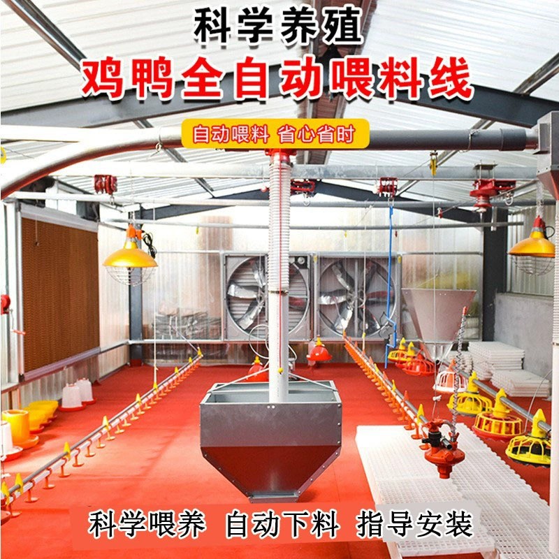 山东料线厂家养鸡自动料线水线畜牧养殖设备自动上料机鸡舍喂食器
