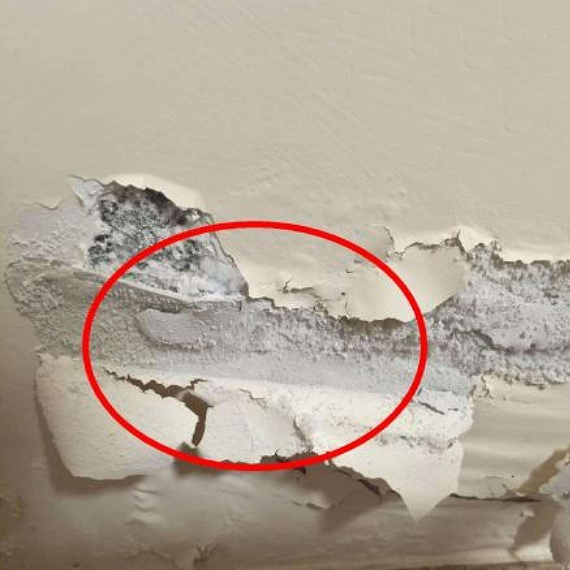 墙面补墙膏开裂掉皮白色修补防水材料涂料墙洞内墙裂缝修复乳胶漆