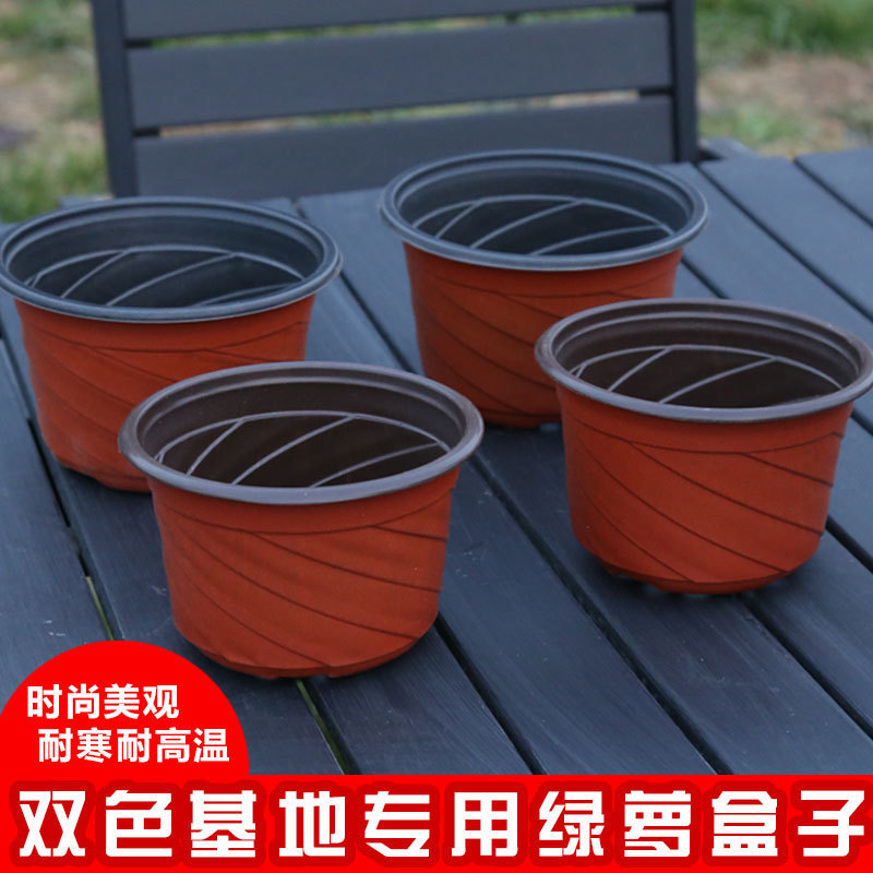 加厚塑料盆吊兰双色盆垂吊盆黄金葛螺旋螺纹矮款苗圃育苗简易花盆