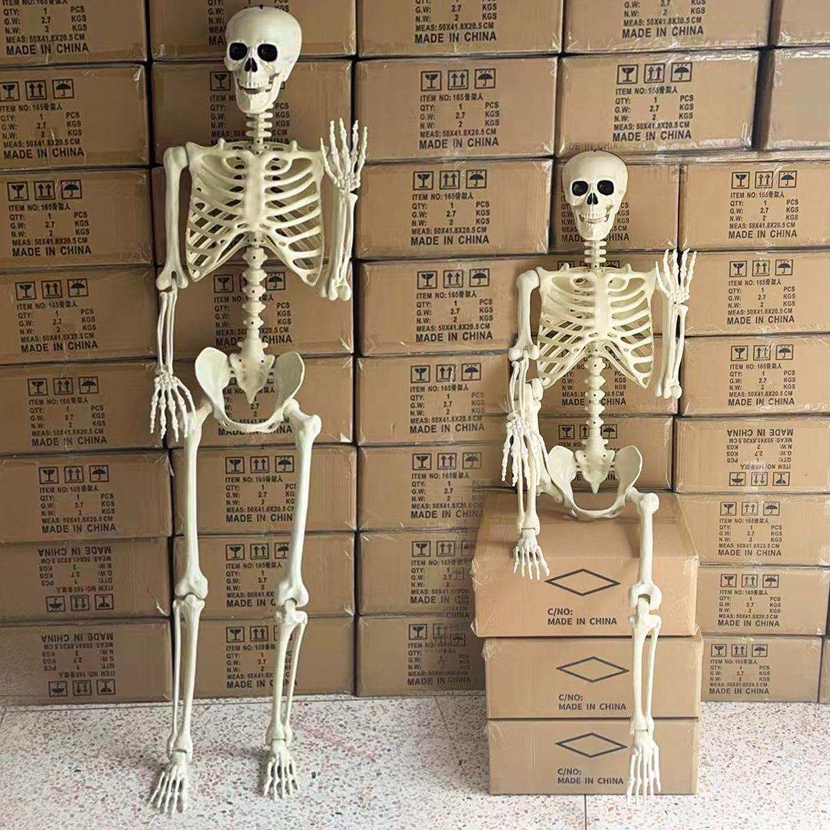 万圣节骷髅骨架人165cm活动关节站立场景布置塑料仿真骨架模型