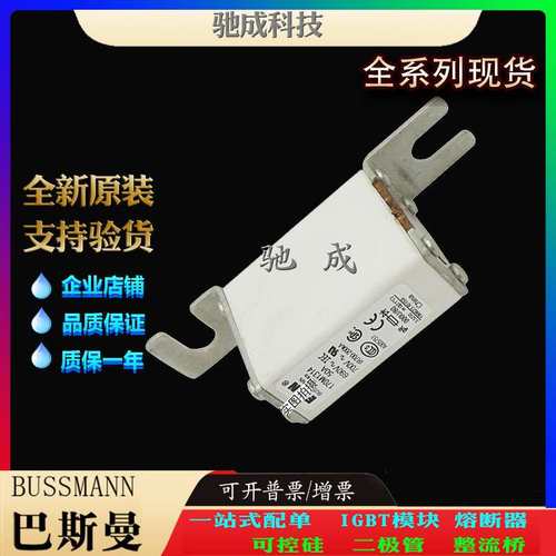 巴斯曼170M1313 170M1314 170M1315 原装进口 价优 快速保险丝