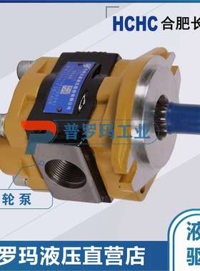 HCHC合肥长源齿轮油泵CBN-F520-BFP、525/563BFPL、550BFH、BFHL