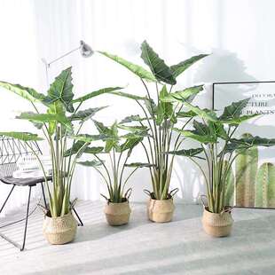 跨境亚马逊仿真萨利安海芋盆栽植物家居装饰室内客厅绿植摆件