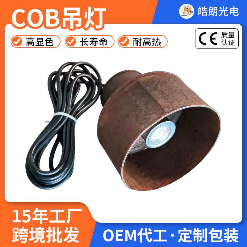 复古工业风吊灯绣漆面灯罩工程吧台创意过道走廊单头铁艺灯具吊灯