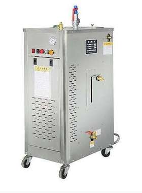 15KW工业蒸汽清洗机BST15K 去油污 水蒸气高温消毒工业养殖场清洗