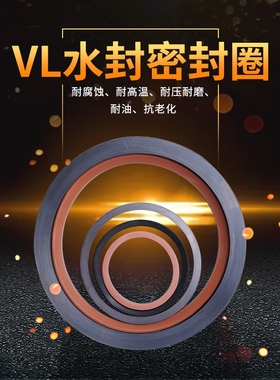 VL水封 旋转端面密封圈 vl-110-550耐磨耐油现货氟胶丁晴vl水封