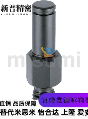 LXAA LXNAA PLXAA PLXNAA SLXAA米思米悬臂销六角型/标准扣环型