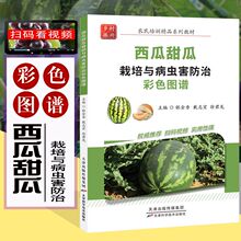 西瓜甜瓜栽培与病虫害防治彩色图谱(全彩铜版、扫码视频)  西瓜种植技术 工业农业种植书籍 病害虫害症状识别防控科学用药