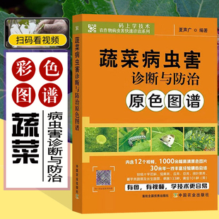 蔬菜病虫害诊断与防治原色图谱 黄瓜番茄南瓜病虫害防治及安全用药蔬菜种植技术蔬菜生产技术全书蔬菜种植书籍