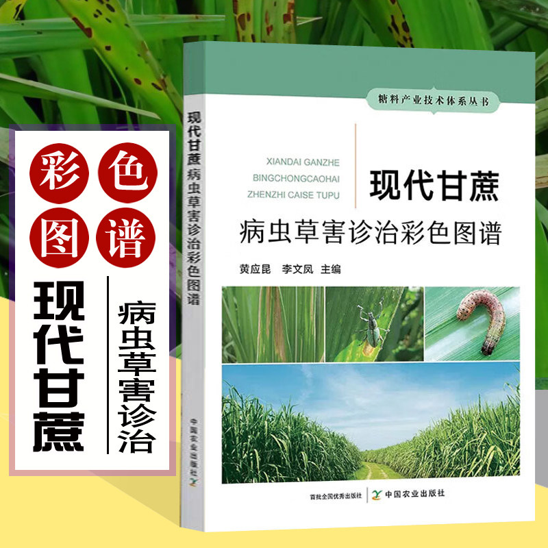 现代甘蔗病虫草害诊治彩色图谱 图解甘蔗生产中病虫害杂草症状识别防治措施甘蔗种植技术书籍水果树栽培书 糖料产业中国农业出版社