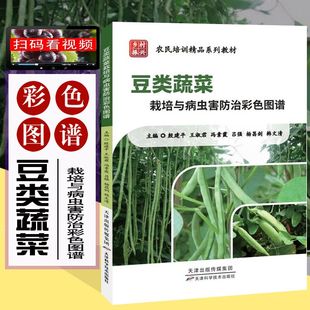 大棚蔬菜种植书 豆类蔬菜栽培与病虫害防治彩色图谱 栽培种植技术书籍 豆类蔬菜绿色生产技术指南 病虫害绿色防控 全彩视频