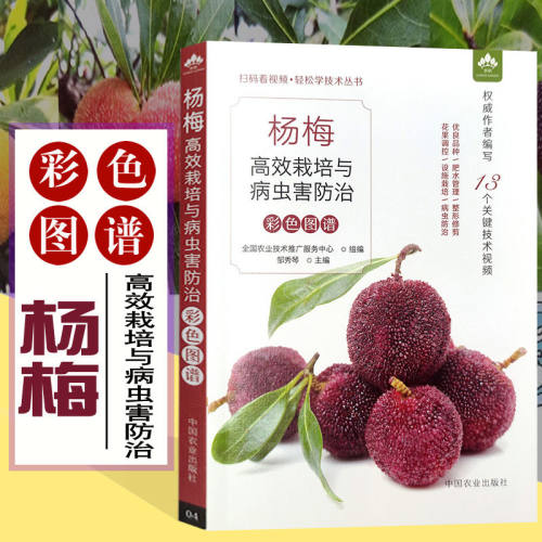 杨梅高效栽培与病虫害防治彩色图谱 扫码看视频 轻松学技术丛书 杨梅栽培病虫害防治 杨梅图谱栽培种植技术书籍