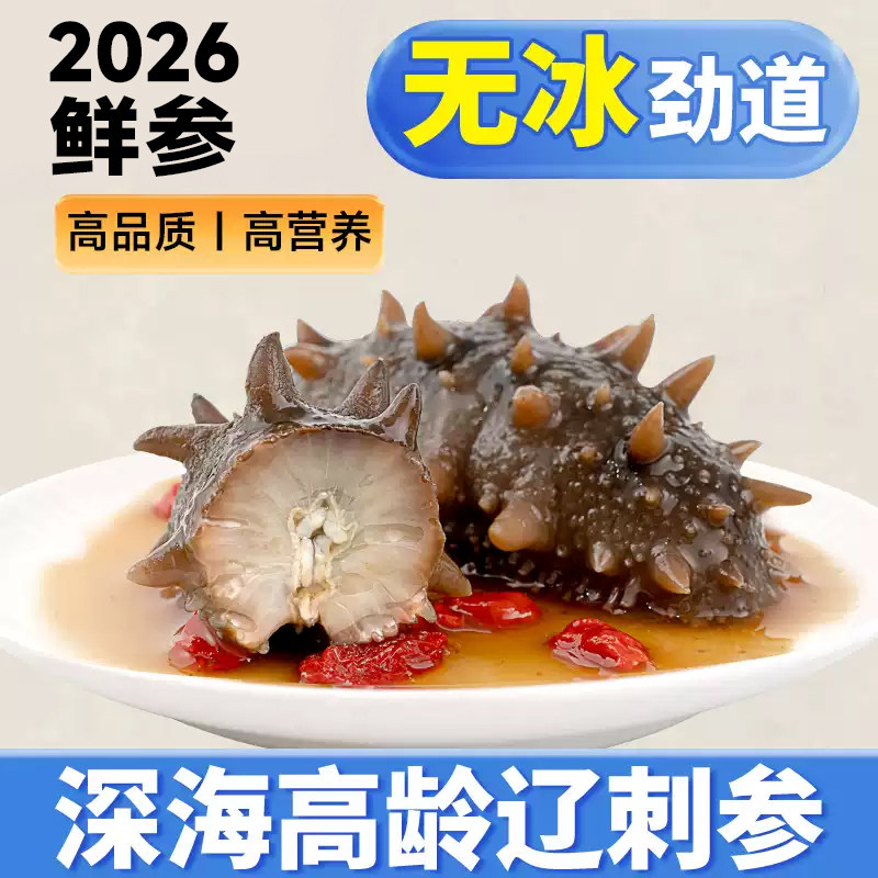 【新客专拍】高品质即食海参辽参大连产地官方旗舰店开袋独立包装