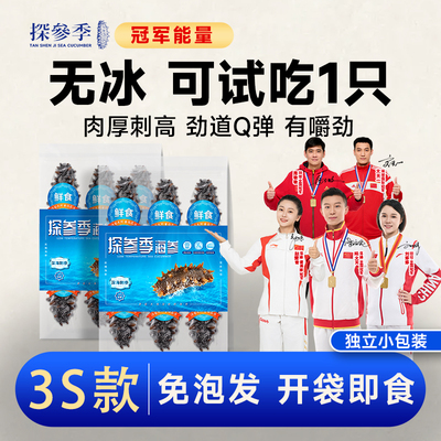 探参季海参即食大连辽刺参