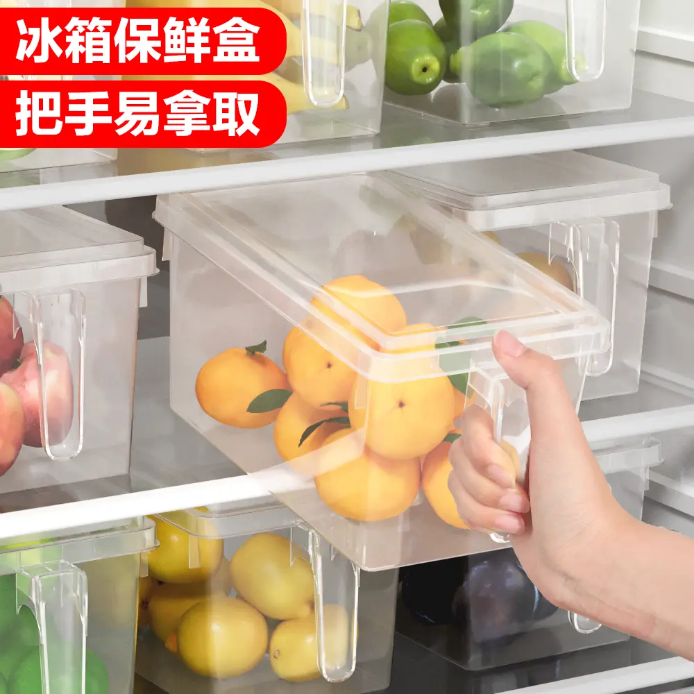 【下单立减50】冰箱收纳盒手柄保鲜盒厨房蔬菜鸡蛋整理盒冷冻盒XJ