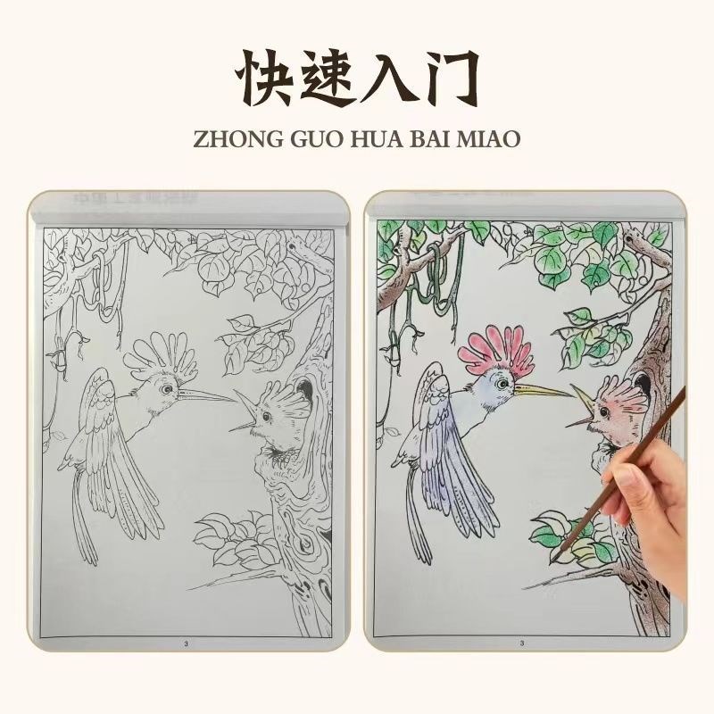 【下单立减50】儿童白描临摹画册临摹画册练习动物植物涂色本