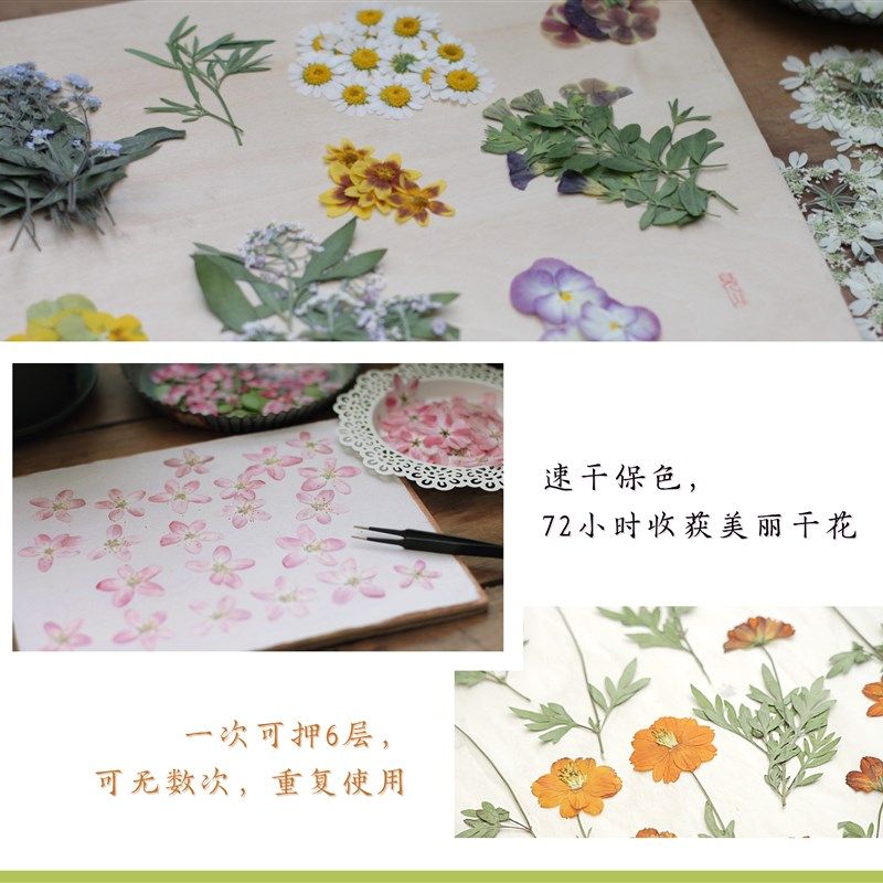 见山干花标本DIY押花器工具包手工制作套装专业级押花板压花器