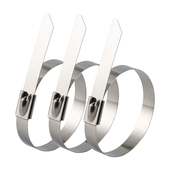 304不锈钢扎带自锁式 金属扎带4.6MM户外船用绑带卡扣电线束线扎丝