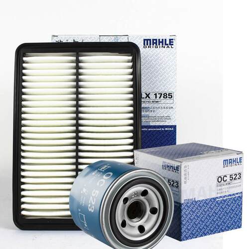 MAHLE PI 2145-069 FPM including of PI 1045 KS MIC 25/K197 过