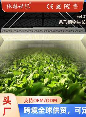 顶部补光植物生长灯 640W育苗开花结果茎叶上色全光谱补光植物灯