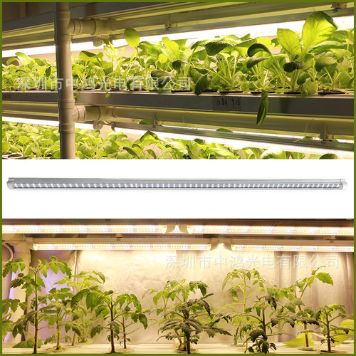 T8一体化全光谱植物灯管24W