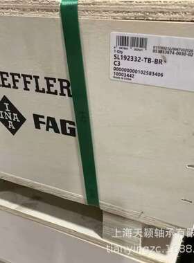 INA轴承 INA SL181864-E  NCF1864V INA满装圆柱滚子轴承 依纳