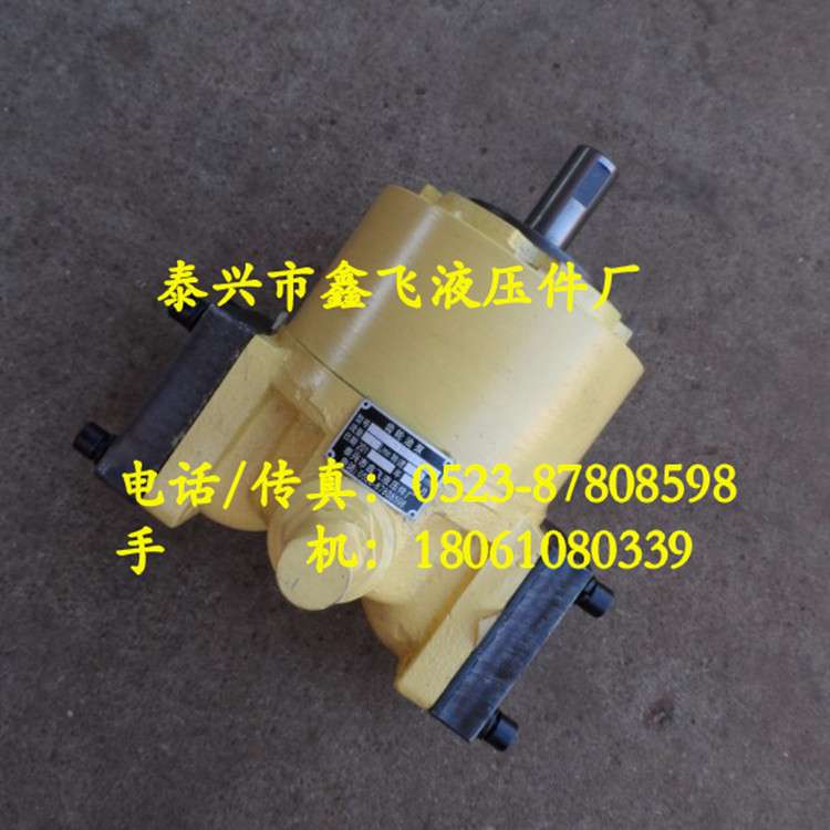 GDB-40Y/GDB-50Y/GDB-63Y/GDB-100Y低噪音高粘度摆线齿轮油泵