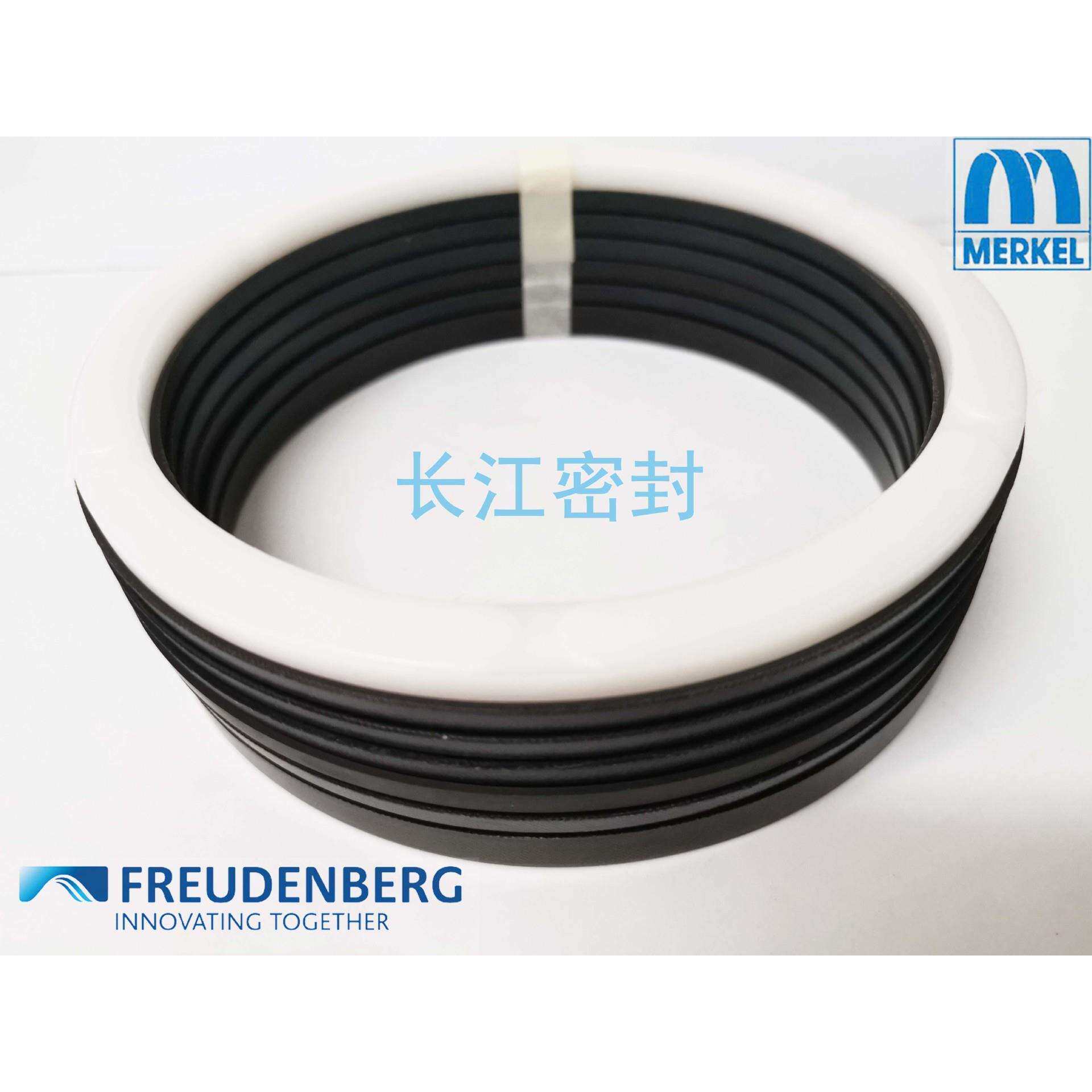 MERKEL FREUDENBERG DM-1170 -8.5 ES 90-110--35-40夹布油封