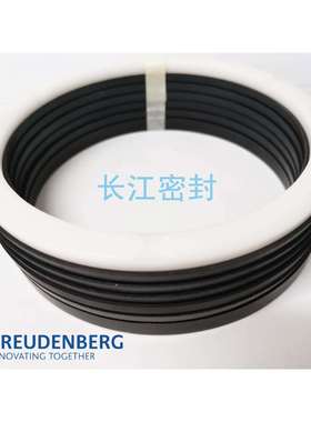 MERKEL FREUDENBERG DM-1170 -8.5 ES 90-110--35-40夹布油封