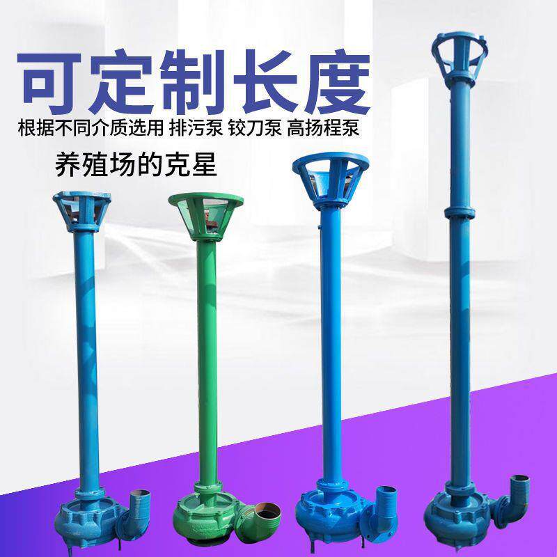 2寸3寸4寸杆泵NWL铸铁排污泵高压带电机泥浆泵抽粪泵化粪池垒德株