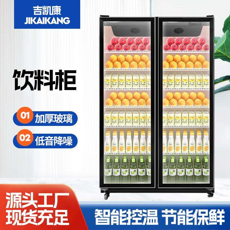 商用啤酒饮料展示柜 立式饮料保鲜柜单双三门红酒啤酒冷藏展示柜