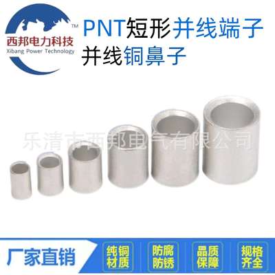 PNT8-14国标中间平行端子紫铜直通柱对接裸接头并线端子中间管