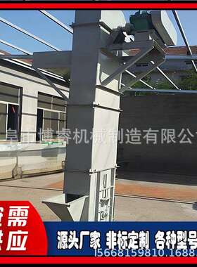 TH200环链给料机 TD型斗式上料机竖向提升斗提机垂直斗式上料机