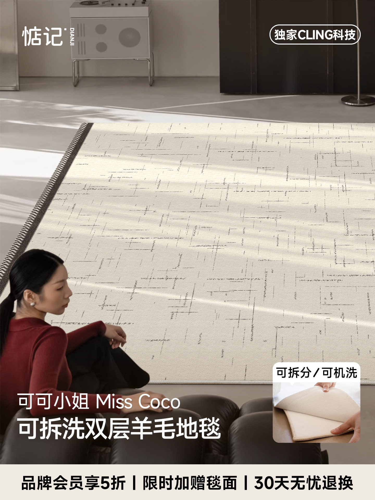 惦记可拆洗地毯双层羊毛地毯法式轻奢客厅可机洗2025新款