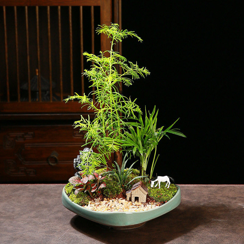 创意个性大号绿植盆景盆新中式组合盆栽陶瓷花盆多肉拼盘水培花器