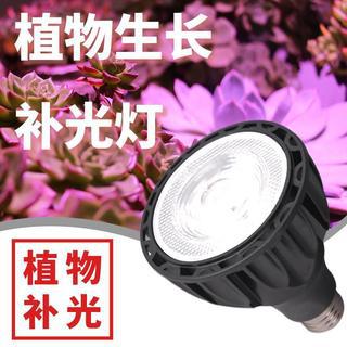 LED植物灯24W全光谱绿植生长灯龙舌兰块根鹿角蕨植物补光灯花卉