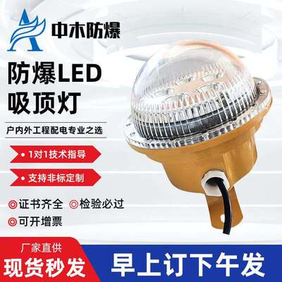 防爆灯20w30w40w50w60w70w加油站厂房车间LED防爆照明灯