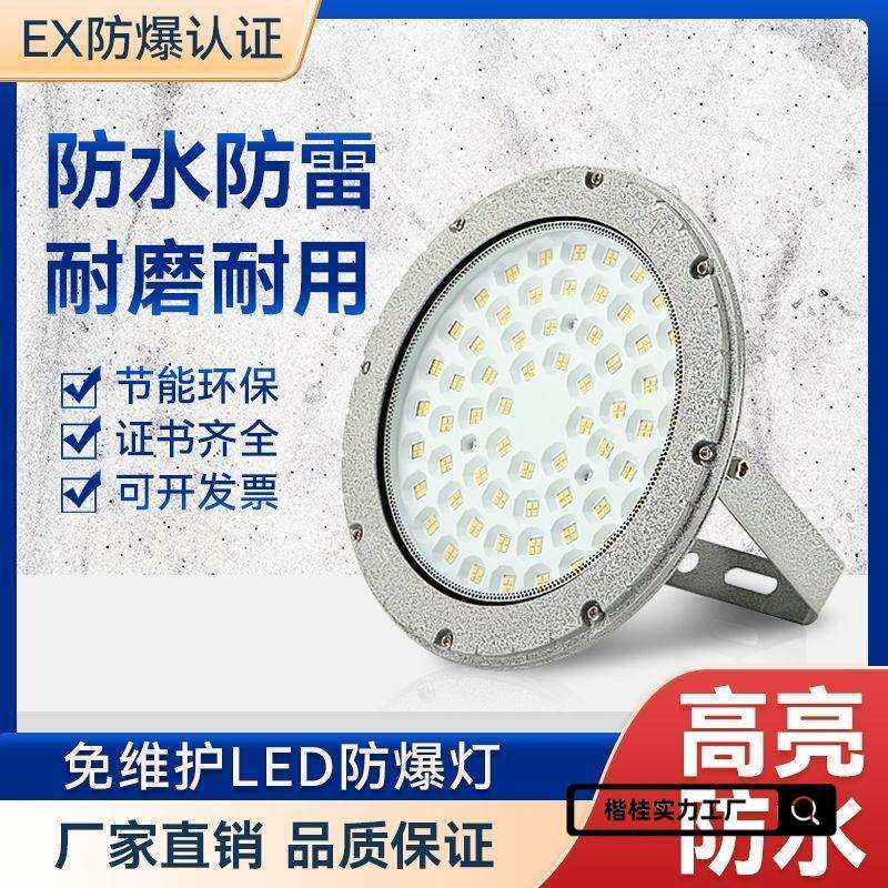防爆灯隔爆型工厂车间照明吊灯仓库车厂房加油站工矿灯罩灯具