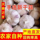 今年新干蒜农家干大蒜紫白皮大蒜头新鲜大蒜蔬菜整箱开封可腌绿蒜