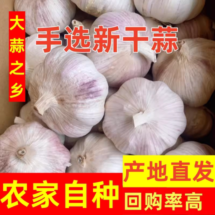 今年新干蒜农家干大蒜紫白皮大蒜头新鲜大蒜蔬菜整箱开封可腌绿蒜