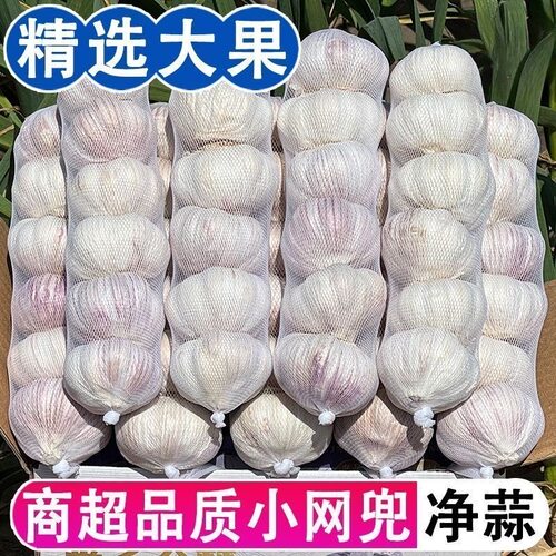 网兜条装新季干大蒜产地直发