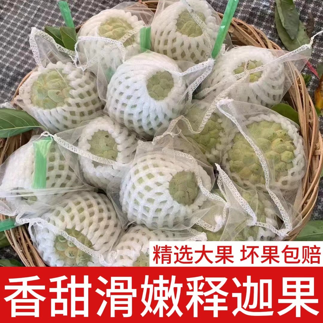 潮汕新鲜林檎释迦果现摘水果大果牛奶释迦果番荔枝佛头摩尼果包邮