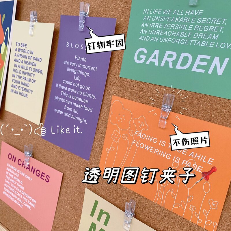 美工钉子照片展示ins风无痕透明夹子工字钉软木板毛毡墙按钉