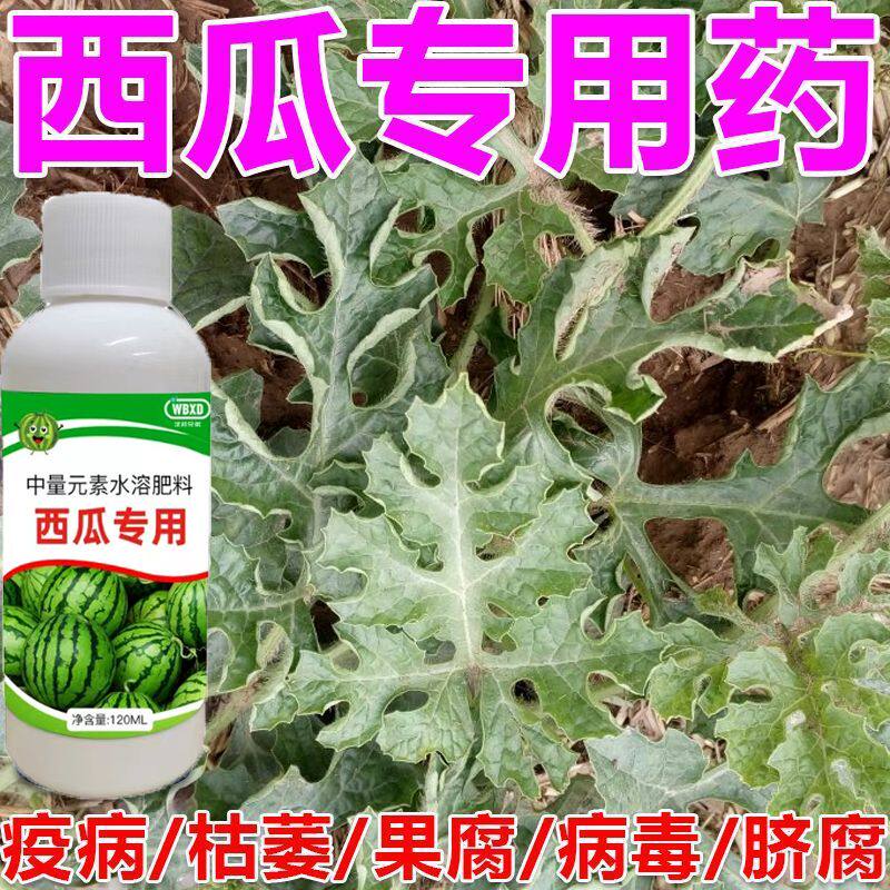 西瓜杀菌剂西瓜病防治微生物菌剂炭疽病白粉病立枯病叶斑病根腐病