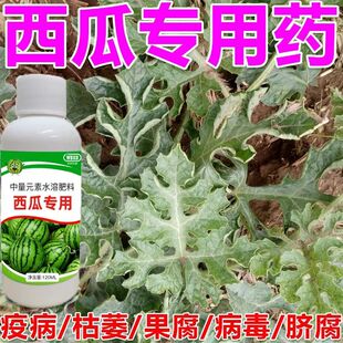 西瓜杀菌剂西瓜病防治微生物菌剂炭疽病白粉病立枯病叶斑病根腐病