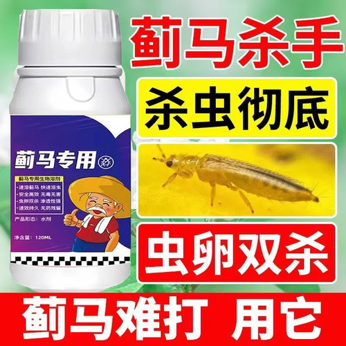 蓟马专用药蓟马杀虫剂蔬菜果树瓜果花卉绿植通用药专杀蓟马正品