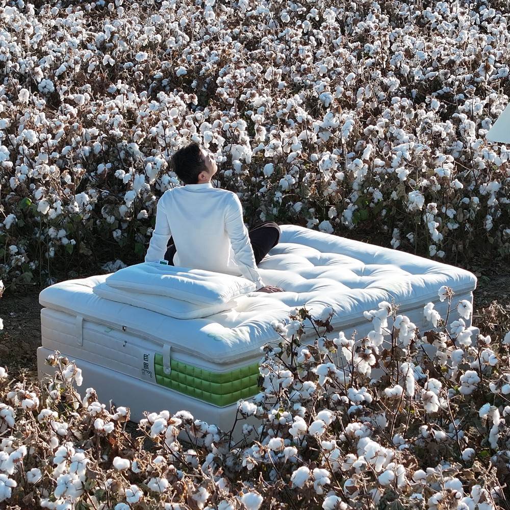 314449主高胶态床垫双家独袋用立弹乳簧卷包M人卧生护端脊