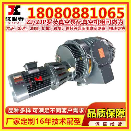 宁波ZJ罗茨真空泵ZJP-600A罗茨式真空泵 真空机组5.5KW罗茨泵