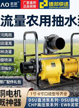 乾颢DSU大流量自吸泵220V抽水泵农用灌溉泵380V高扬程污水泥浆泵